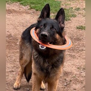 Meet your Posher, Shannon